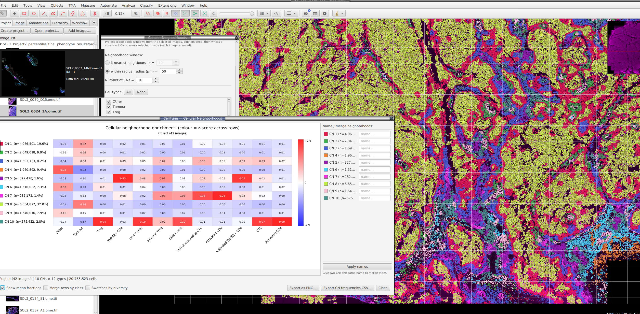 CN overlay in the viewer alongside the enrichment heatmap and name/merge panel
